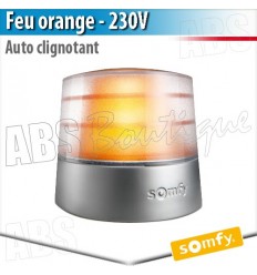 Feu de signalisation Somfy - MASTER PRO 230 V clignotant