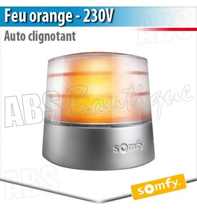 Feu de signalisation Somfy - MASTER PRO 230 V clignotant