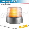 Feu de signalisation Somfy - MASTER PRO 230 V clignotant