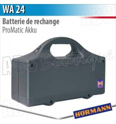 Batterie de rechange WA 24 - Promatic Hörmann
