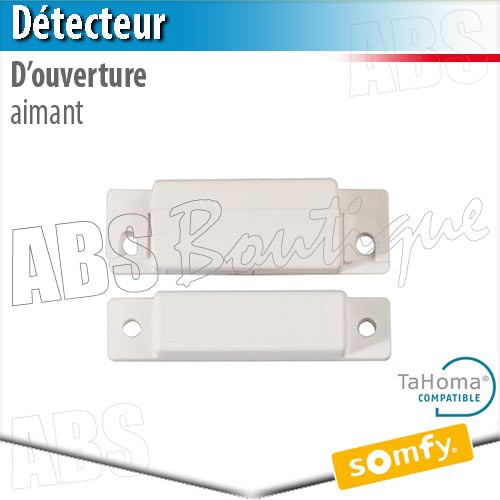 Aimant pour detecteur