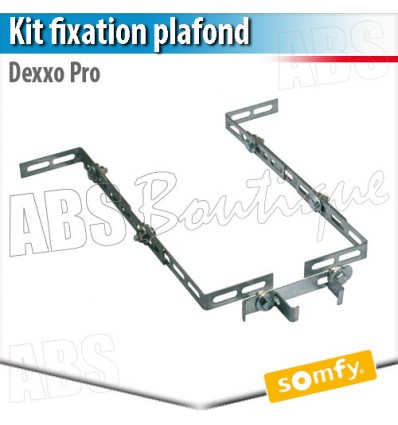 Kit de fixation plafond pour Moteur DEXXO somfy