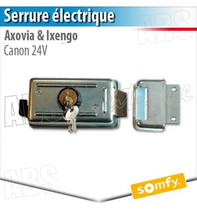 Serrure électrique avec canon 24 V Somfy - Axovia Multi Pro et Ixengo