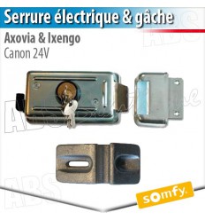 Serrure électrique avec canon 24 V et gâche au sol Somfy