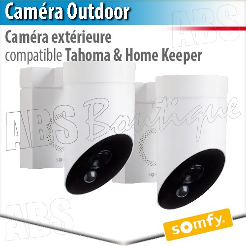 Somfy capteur de température extérieure (so 9001611) - Expert domotique