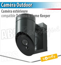 Caméra de surveillance extérieure Somfy avec sirène intégrée - grise