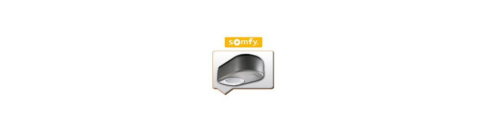 Moteurs Portes Somfy